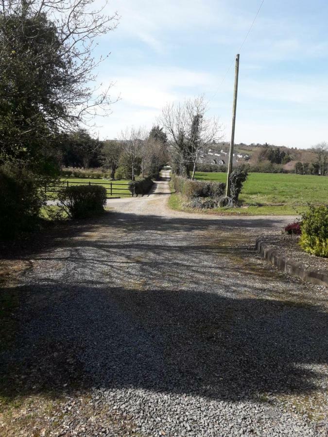 Aunt Mollie'S Cottage Coalisland Exterior photo